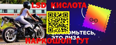 прущие грибы Апрелевка