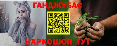 индика Аргун