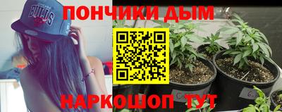 мдпв Аргун